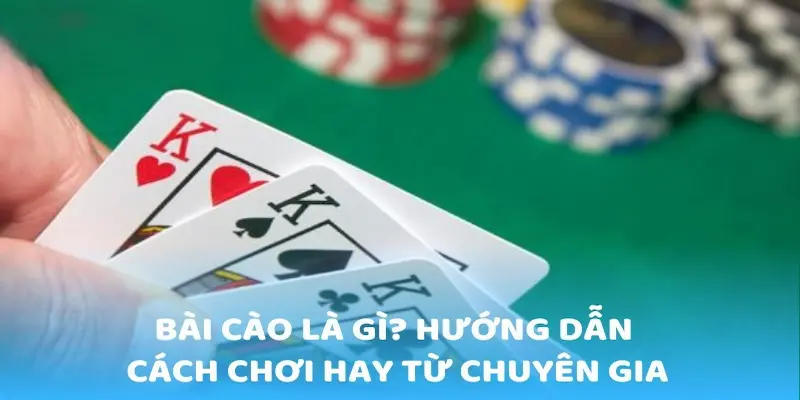 bai cao 1 1 Bài cào là game gì?
