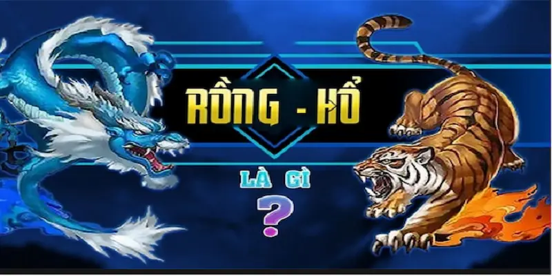bai rong ho 1 Tựa game bài Rồng Hổ hấp dẫn dành cho thành viên