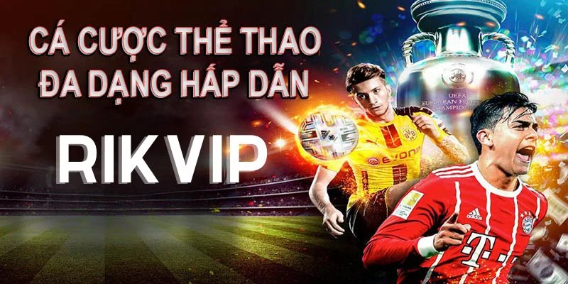 the thao rikvip 2 Trải nghiệm cá cược thể thao dễ dàng và đầy thú vị